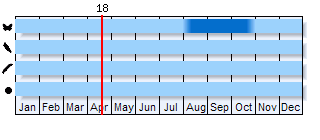 Phenogram based on literature