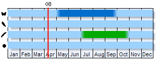 Phenogram based on literature