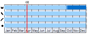 Phenogram based on literature