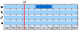 Phenogram based on literature