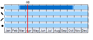 Phenogram based on literature