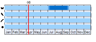 Phenogram based on literature
