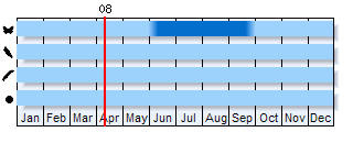 Phenogram based on literature