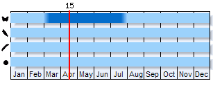 Phenogram based on literature