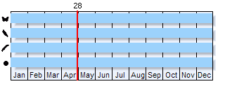 Phenogram based on literature