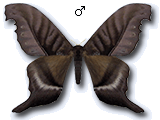 MU