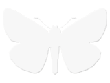 MU