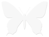 MU