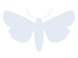 MU